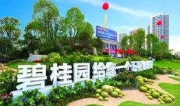 沧州碧桂园最新爆料,匠心独运，品质生活新篇章