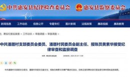 惠安媒体爆料最新消息,重大事件引发社会关注！